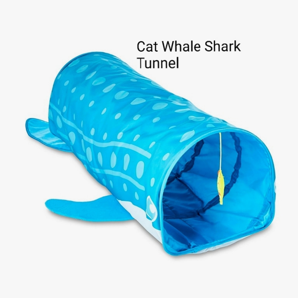 Kitty City Whale Shark Tunnel ⭐⭐⭐